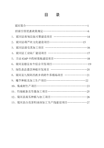 梁河县南甸宣抚司署建设项目