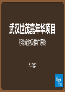 武汉世茂嘉年华项目形象定位及推广思路_219P_今久传播_XXXX