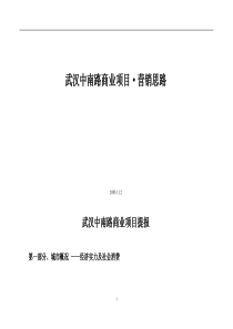 武汉中南路商业项目营销思路(DOC20)(1)