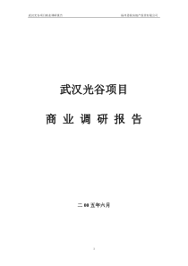 武汉光谷项目商业调研报告