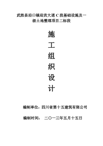 武胜县沿口镇迎宾大道C段基础设施及一级土地整理项目二