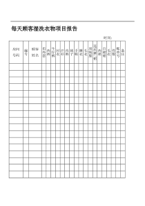 每天顾客湿洗衣物项目报告