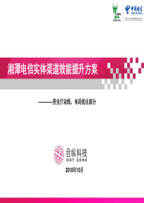 比较经典的电信实体渠道效能提升项目资料