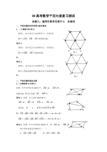 08高考数学平面向量复习测试