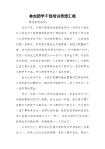 参加团学干部培训思想汇报