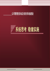 汉普《湘潭钢铁项目建议书》