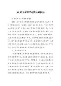 XX党支部班子对照检查材料