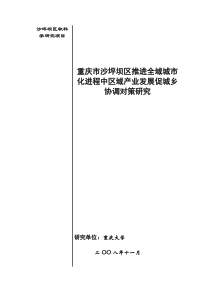 沙坪坝区软科学研究项目