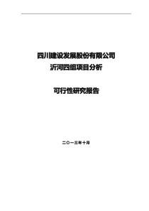 沂河四组项目可行性研究报告