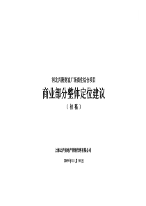 河北兴隆县财富广场商住综合项目整体定位建议_100页_XXXX年