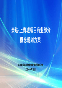 泰达上青城项目商业部分概念规划方案