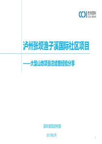 泸州张坝渔子溪国际社区项目总结