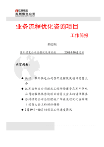 流程优化咨询项目工作简报 第二期