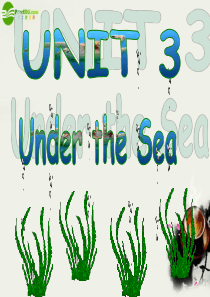 高中英语-unit3-Under-the-Sea-reading---OLD-TOM-THE-KIL