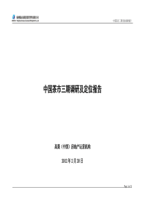 浙江茶市三期休闲娱乐风情街项目调研及定位报告_51页_2