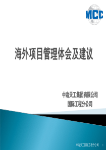 海外项目管理体会及建议