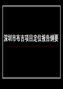 深圳市布吉项目定位报告纲要ppt44(1)