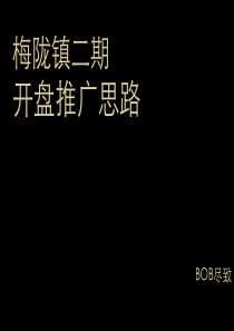 深圳龙华金地梅陇镇项目二期开盘推广思路报告_40页