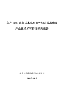 湖南大学项目可行性研究一(1)