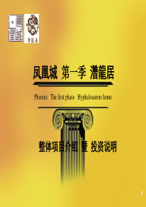 湖南湘西凤凰城第一季整体项目介绍_67页_潜龙居