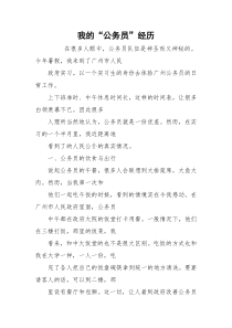 我的“公务员”经历