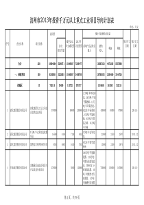 滨州市X年投资千万元以上重点工业项目导向计划