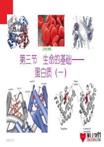 1-3生命的基础——蛋白质1