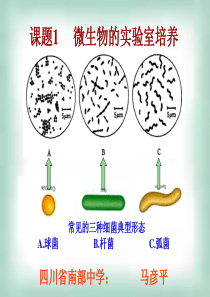 课题1微生物的实验室培养