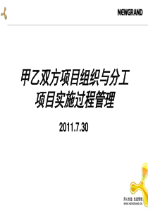 甲乙双方项目组织与分工实施过程管理