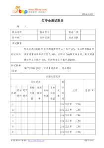 灯寿命测试报告