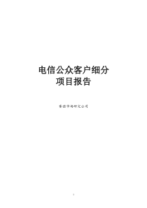 电信：公众、家庭客户调细分项目资料