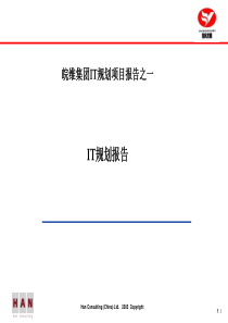 皖维集团IT规划项目报告之一IT规划报告