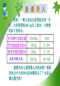 第三节--绿色植物参与生物圈的水循环