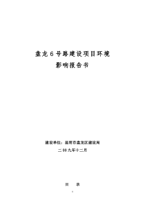 盘龙6号路建设项目环境影响报告书