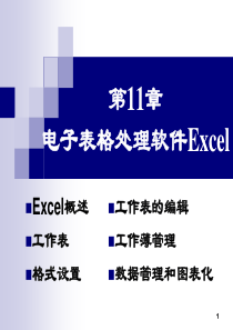 第11章电子表格处理Excel