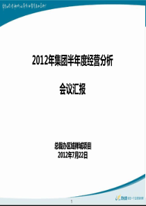 碧桂园集团禅城项目半年度经营分析会(722)汇报版