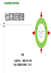 社会组织能力项目管理-副本