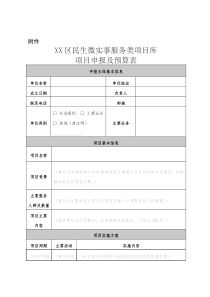 深圳民生微实事项目申报书