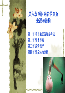 第07章_项目融资的资金来源(资金结构)