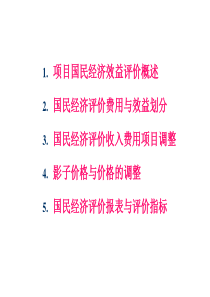 第10章工程项目的国民经济评价