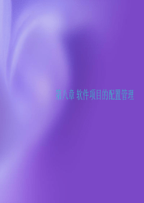 第08章项目配置管理