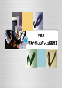 第15章项目组织与人力资源管理