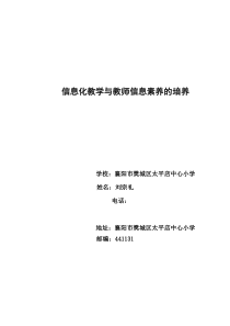 信息化教学与教师信息素养的培养