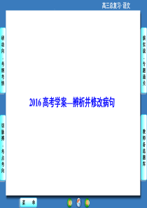 2016高考学案-辨析并修改病句