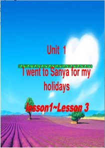 六年级英语下册Unit1《IwenttoSanyaformyholidays》-优秀课件2人教精通版