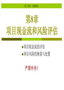 第8章项目现金流和风险估计