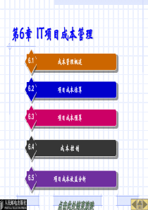 第6章IT项目成本管理