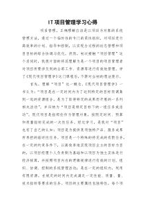 IT项目管理学习心得