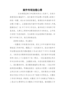 案件专项治理心得