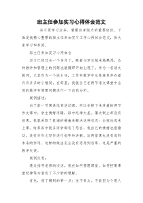 班主任参加实习心得体会范文